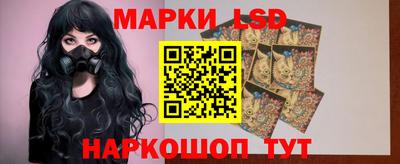 сатива Гатчина