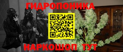 сатива Гатчина