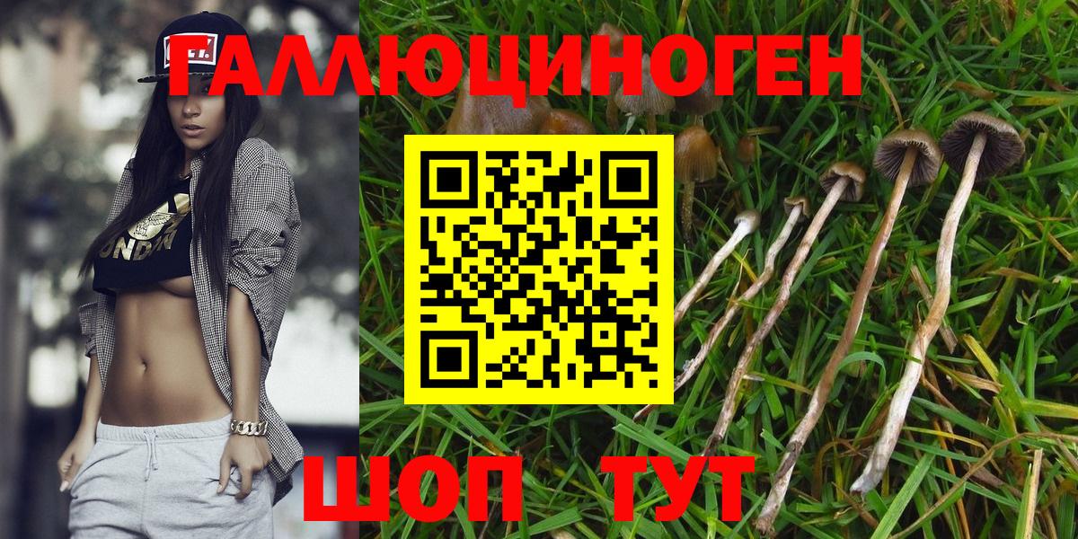Галлюциногенные грибы мицелий Сорочинск